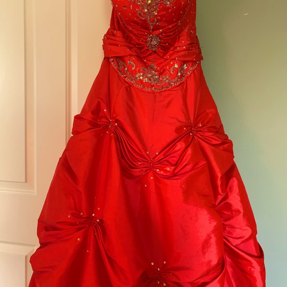 Prom Dress or Princess costume